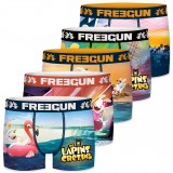 Set of 5 Boy's Boxers Rabbids