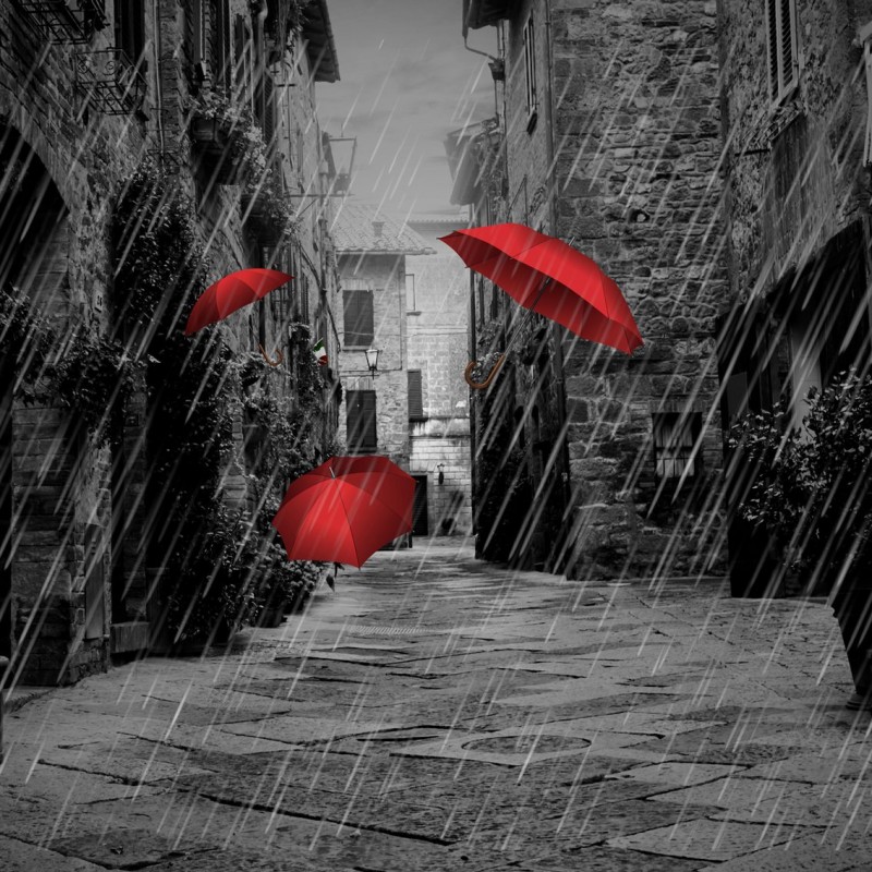 Lot de 2 Shortys Freegun fille Miss Freegun Freegun - 2