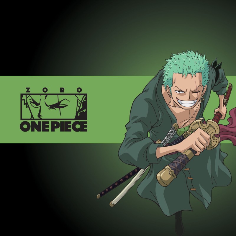 Lot de 5 boxers garçon One piece Freegun - 2