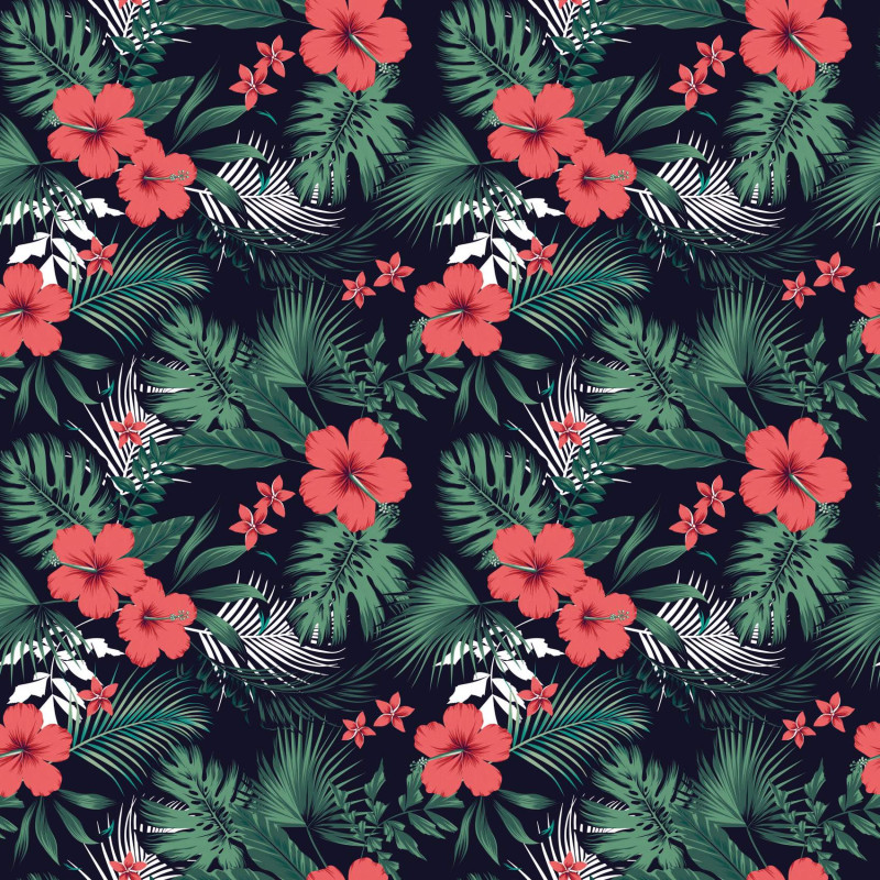 Lot de 3 culottes femme Tropical Flower