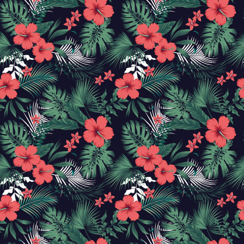 Lot de 3 culottes femme Tropical Flower