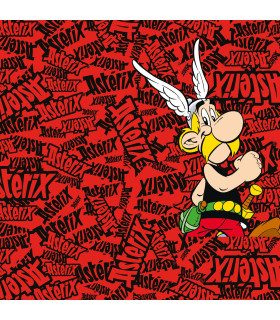 Lot de 4 Boxers Microfibre garcon Asterix Et Obelix Imprimé | FREEGUN