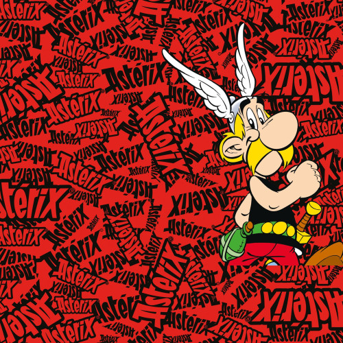 Lot de 4 Boxers Microfibre garcon Asterix Et Obelix Imprimé | FREEGUN