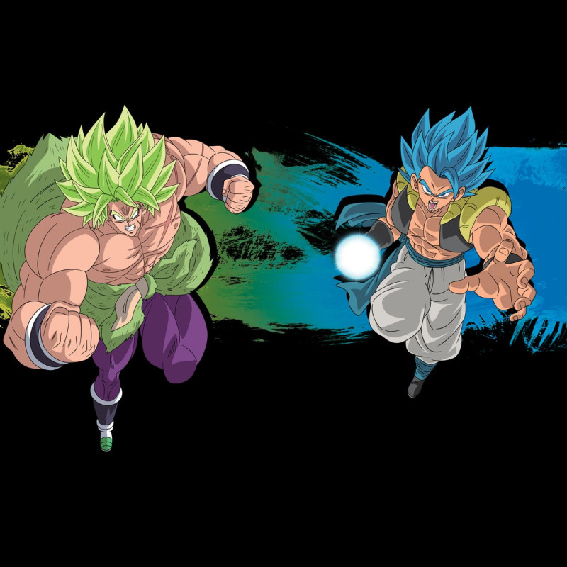 Lot de 3 Boxers Microfibre garcon Dragon Ball Super : Broly Imprimé | FREEGUN