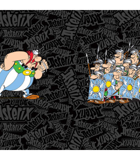 Lot de 4 boxers homme Asterix