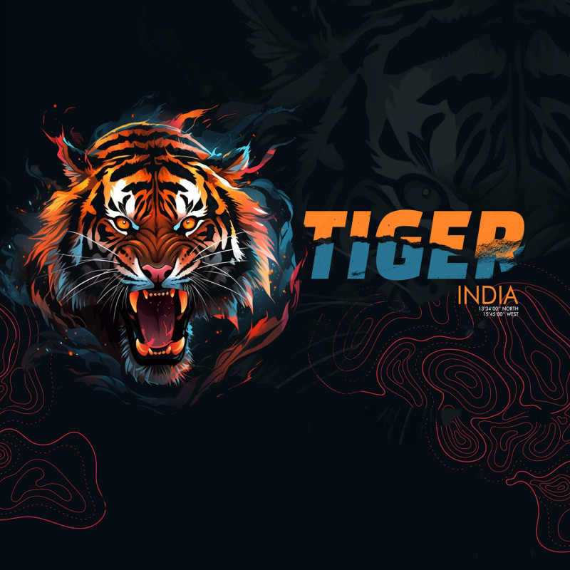 Lot de 4 Boxers Microfibre garcon Imprimé Animals Garantie 2 ans | FREEGUN