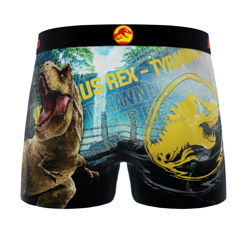Lot de 4 Boxers Microfibre garcon Jurassic World Imprimé | FREEGUN