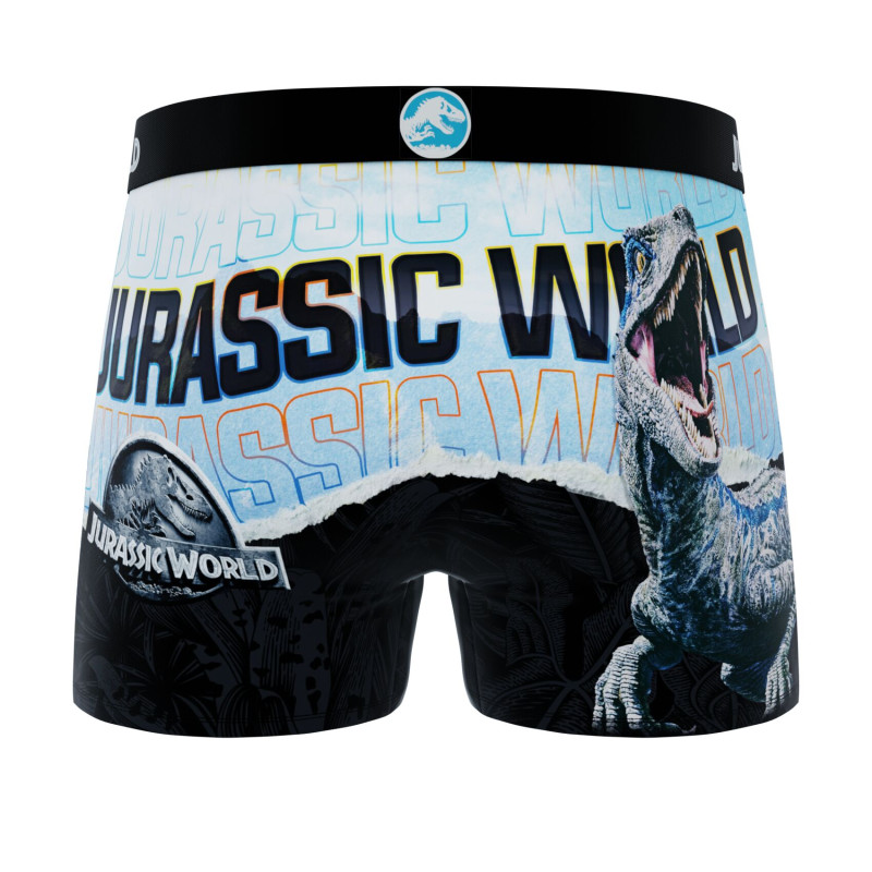 Lot de 4 Boxers Microfibre garcon Jurassic World Imprimé | FREEGUN