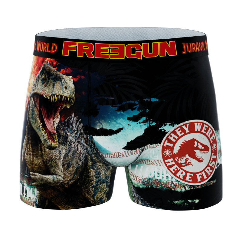 Lot de 4 Boxers Microfibre garcon Jurassic World Imprimé | FREEGUN