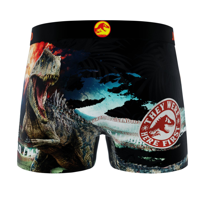 Lot de 4 Boxers Microfibre garcon Jurassic World Imprimé | FREEGUN