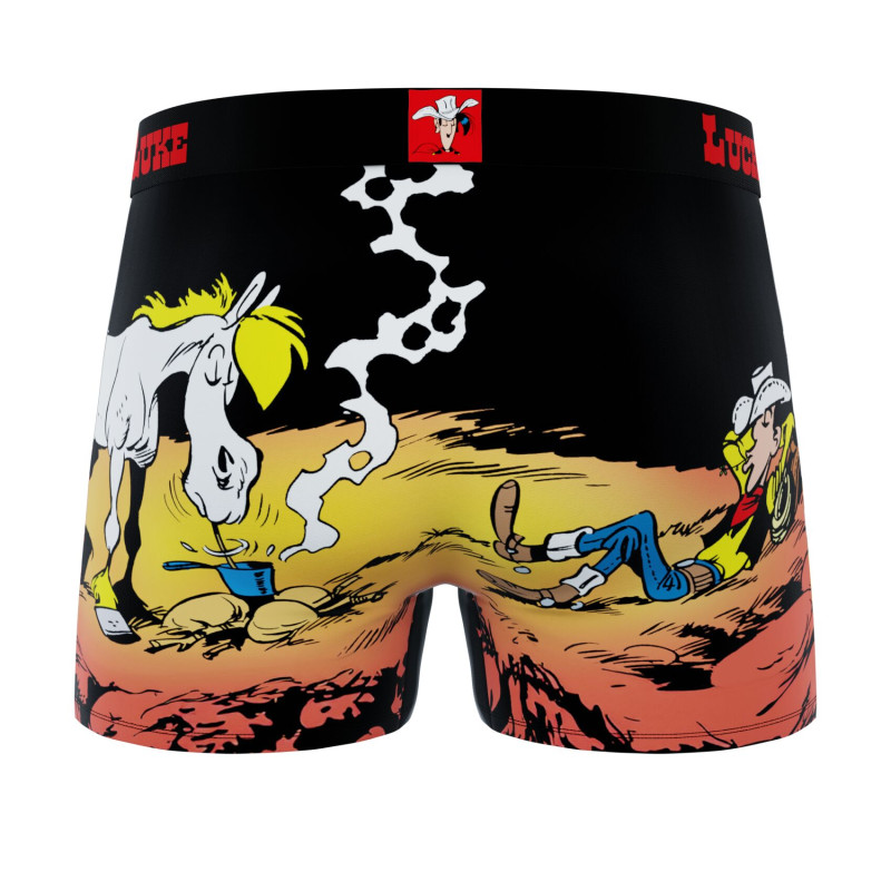 Lot de 4 Boxers Microfibre garcon Imprimé Lucky Luke | FREEGUN