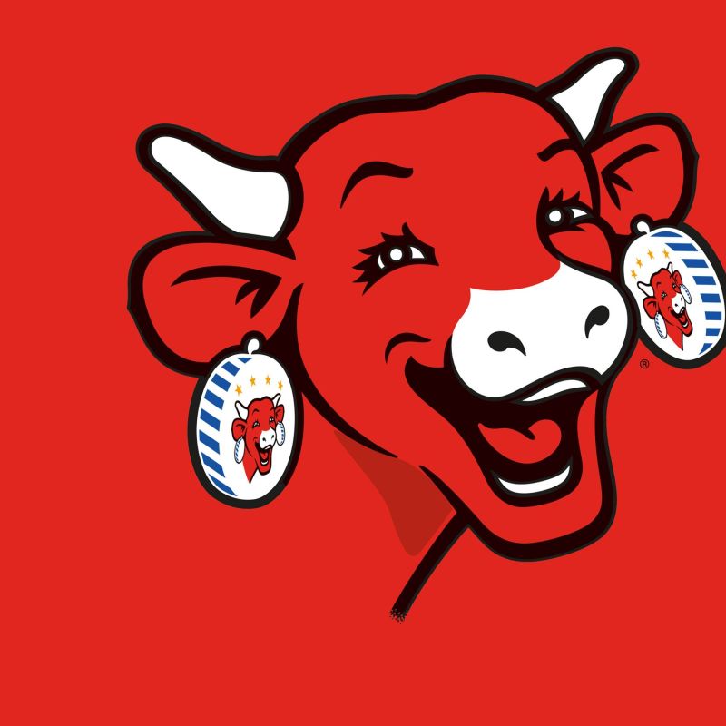 Lot de 5 boxers homme La vache qui rit