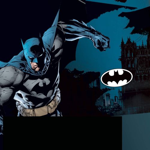 Lot de 4 Boxers Microfibre homme Dc Comics Batman, Joker, Harley Quinn Imprimé | FREEGUN