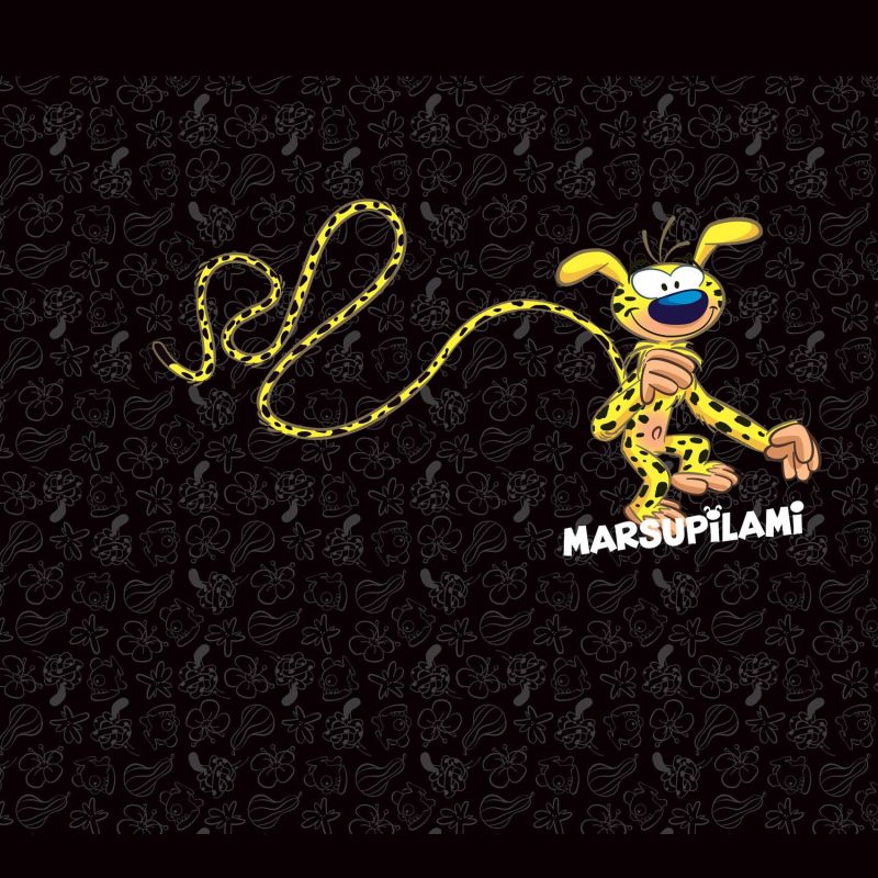 Lot de 3 Boxers Microfibre garcon Imprimé Marsupilami | FREEGUN