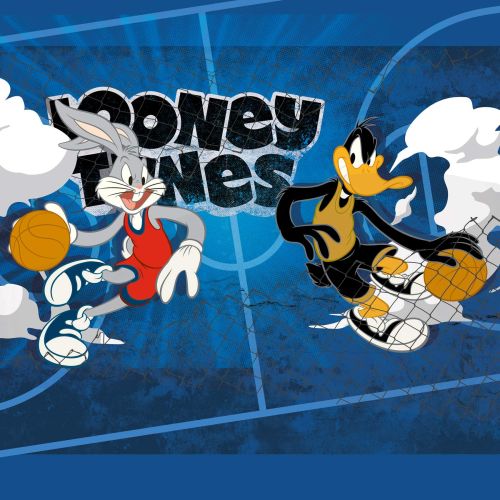 Lot de 4 boxers homme Looney Tunes