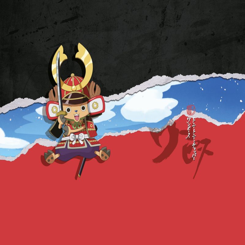 Lot de 4 boxers homme One Piece