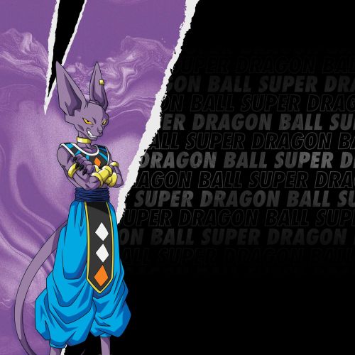 Lot de 4 boxers enfant Dragon Ball Super