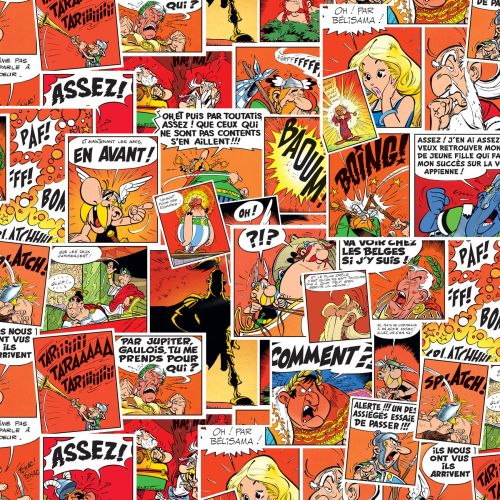 Lot de 3 boxers enfant Asterix