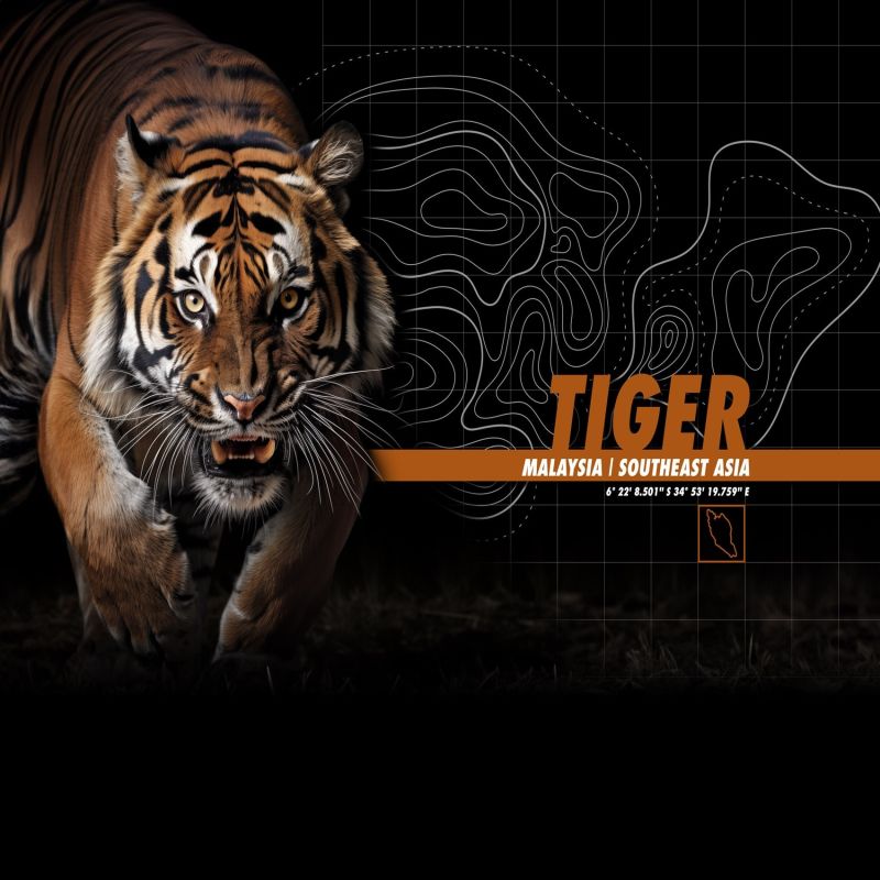 Lot de 3 boxers enfant Garantie 2 ans Wild Life