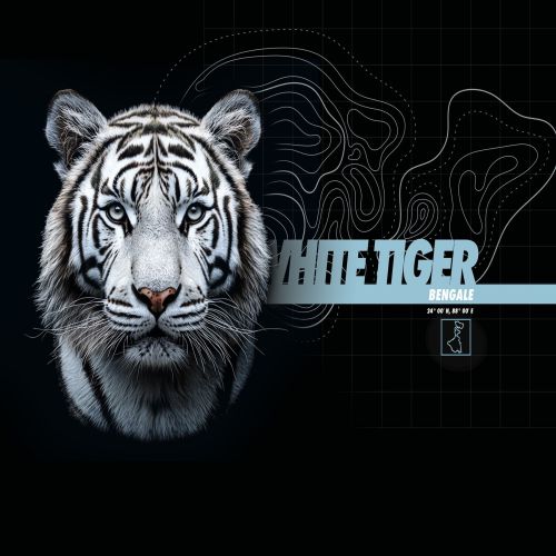 Lot de 5 boxers homme Garantie 2 ans Wild Life