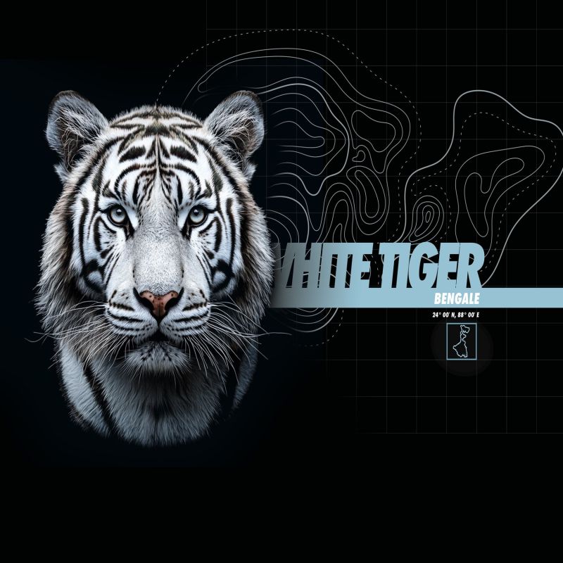 Lot de 4 boxers enfant Garantie 2 ans Wild Life