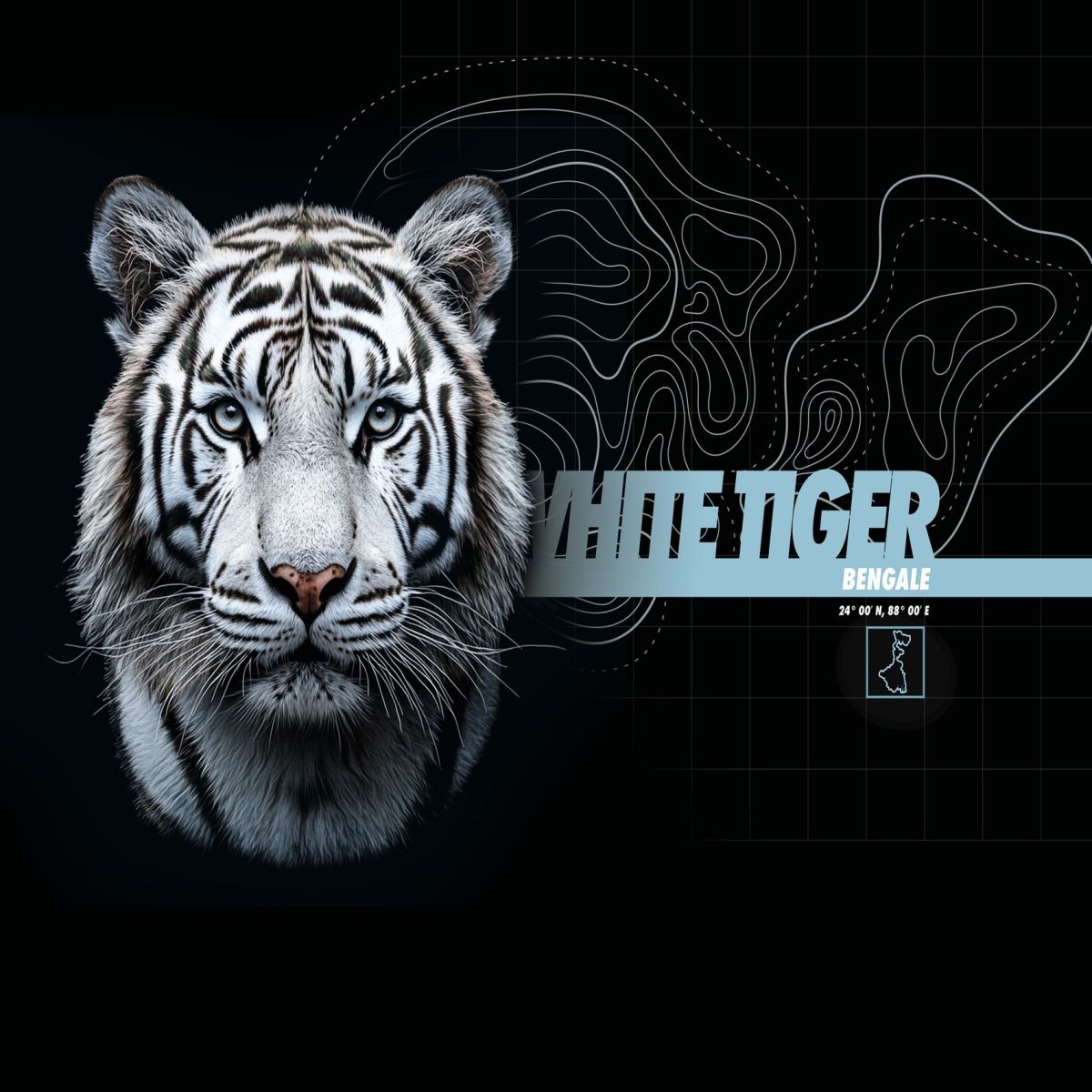 Lot de 4 boxers enfant Garantie 2 ans Wild Life