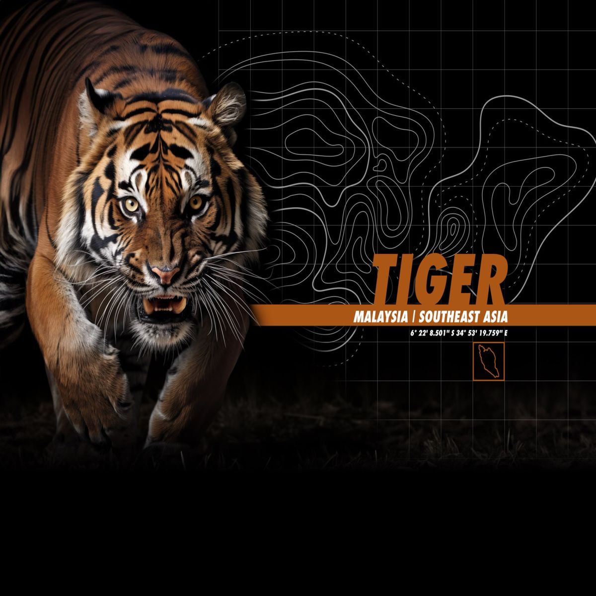 Lot de 4 boxers homme Garantie 2 ans Wild Life