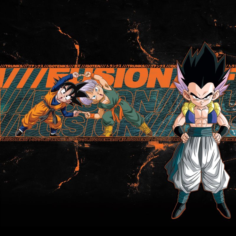 Lot de 4 boxers homme Dragon Ball Z