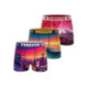 Lot de 3 boxers junior collection World Painting