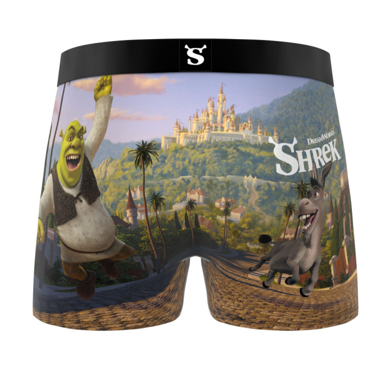 Lot de 3 boxers enfant Shrek