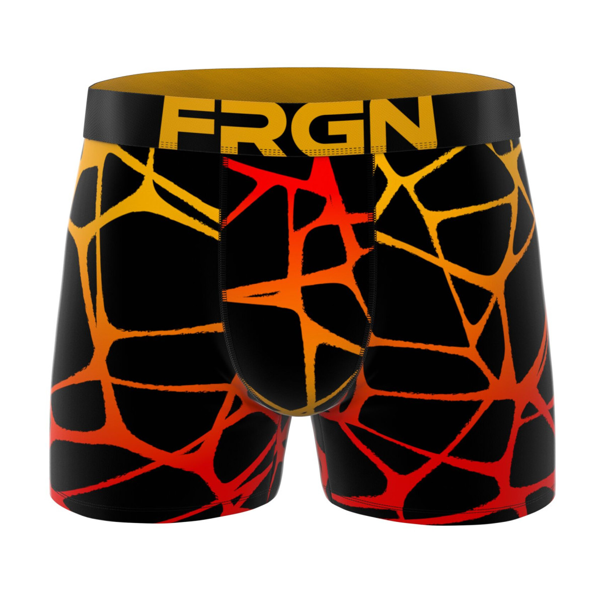 Lot de 4 boxers junior collection FRGN Style