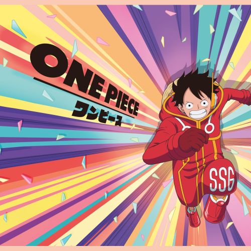 Lot de 5 boxers junior One Piece