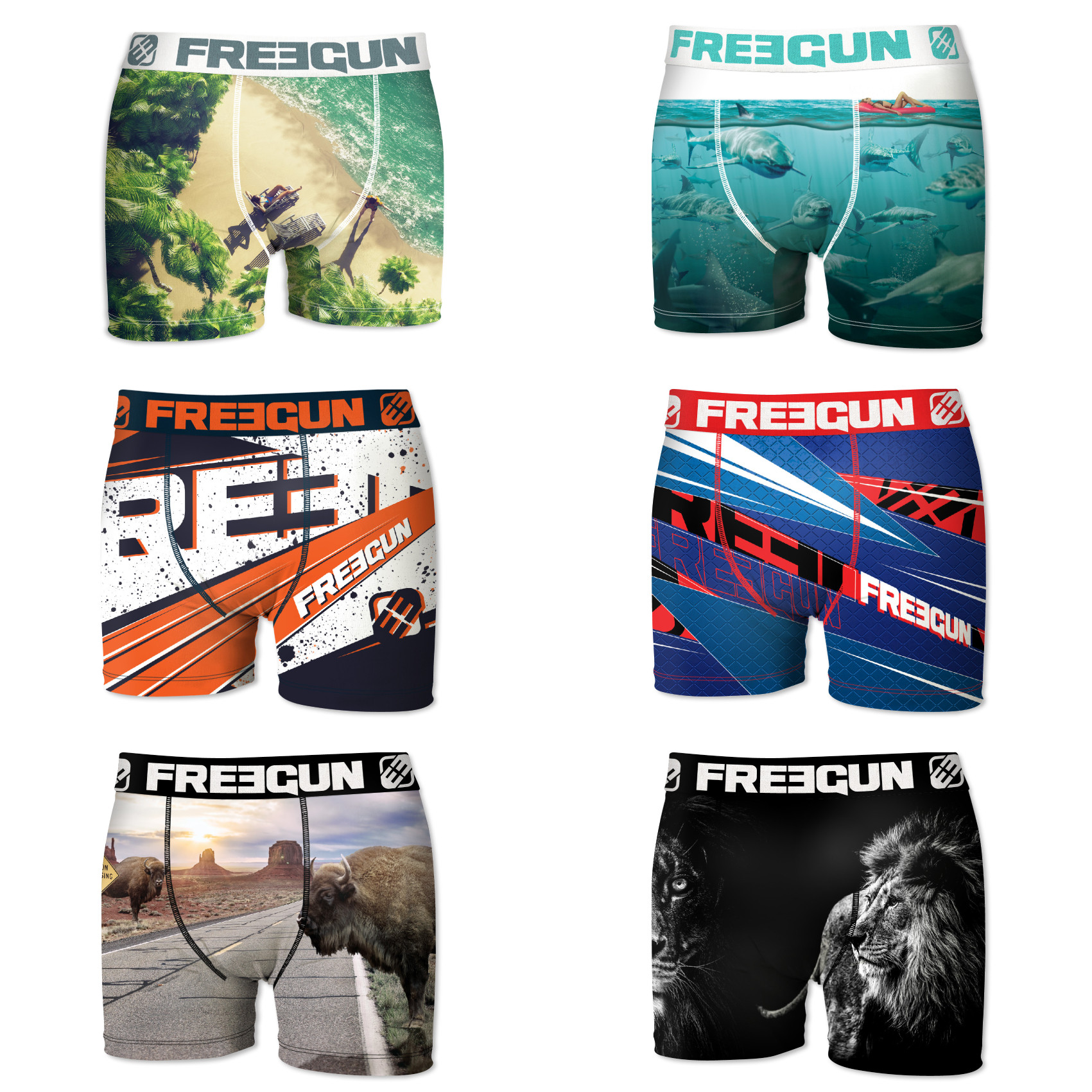 Boxers homme microfibre packx6 freegun e5 (photo) Boxers homme microfibre packx6 freegun e5 (photo)