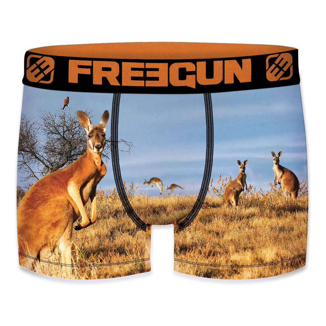 Boxer garçon summer animals kangaroo (photo) Boxer garçon summer animals kangaroo (photo)